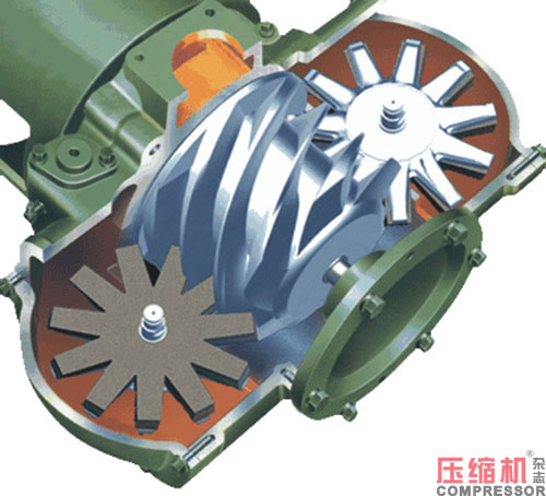 20260226919979.jpg 02.JPG